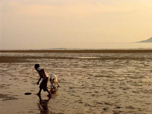 A child and a dog playing on the wet sand at Caswell Bay at low tide, with a calm sea and headland beyond